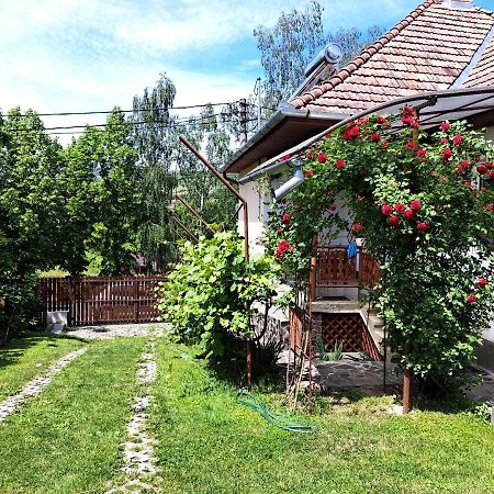 Casa De Vacanta Zsenik Vendeghaz Совата Екстер'єр фото
