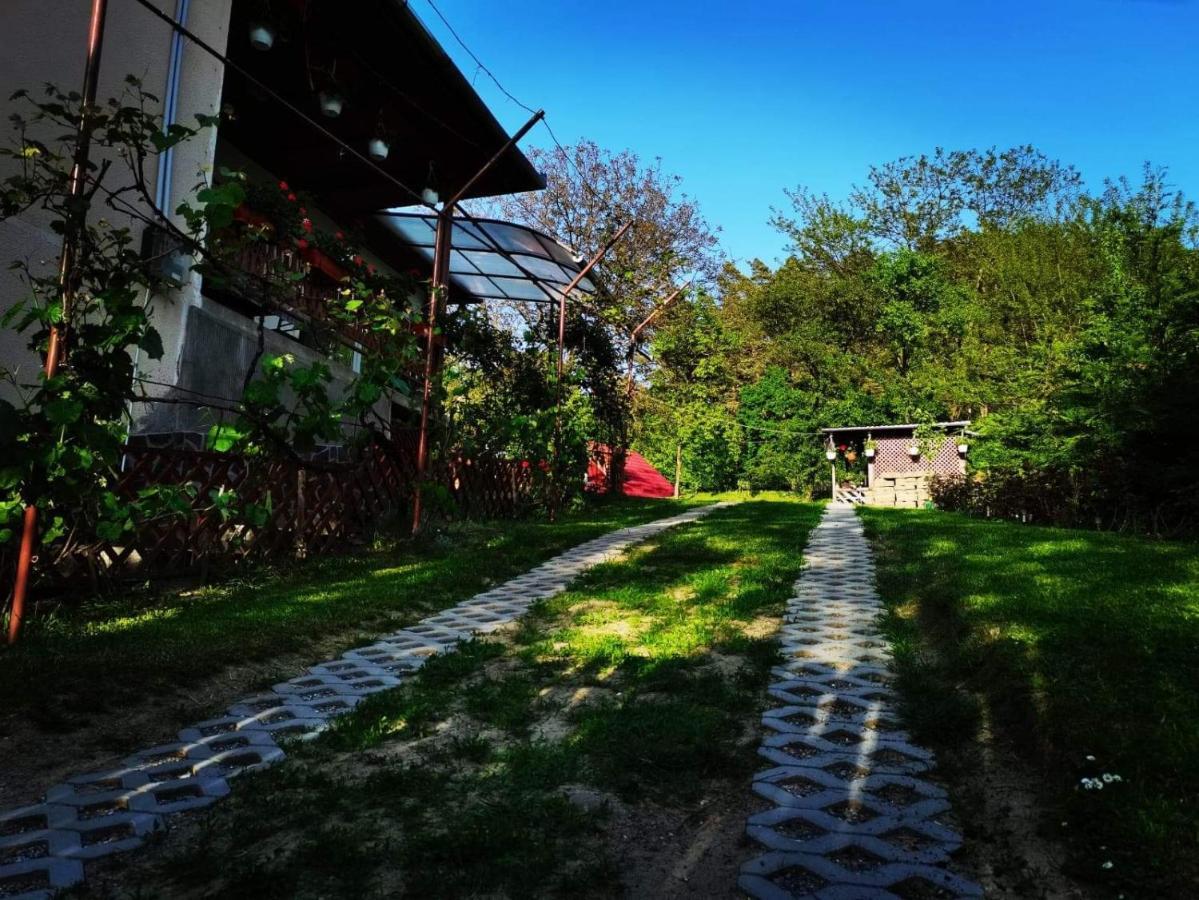 Casa De Vacanta Zsenik Vendeghaz Совата Екстер'єр фото