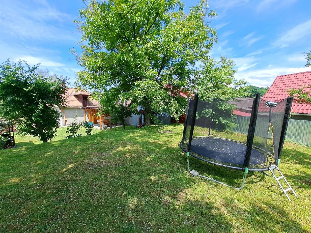 Casa De Vacanta Zsenik Vendeghaz Совата Екстер'єр фото