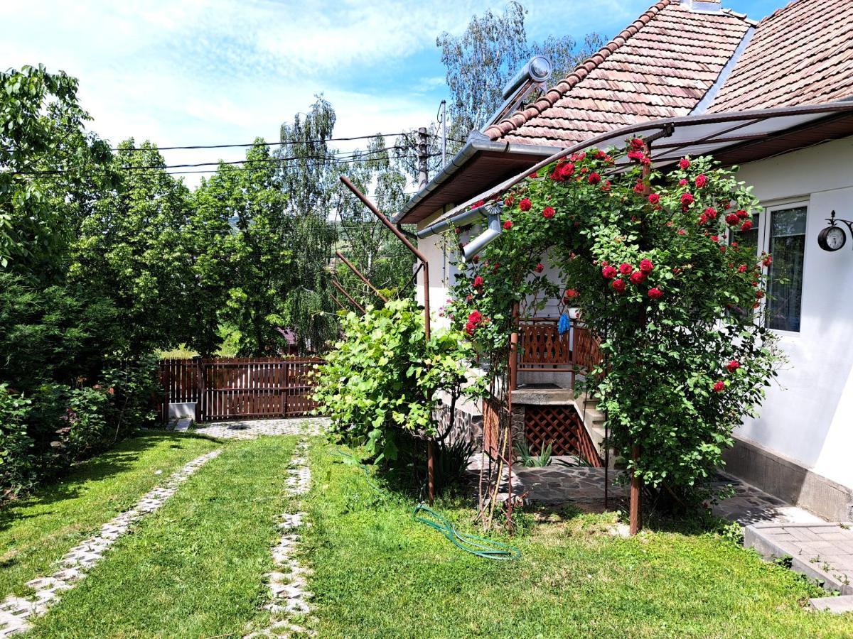 Casa De Vacanta Zsenik Vendeghaz Совата Екстер'єр фото
